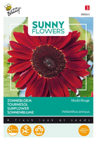 Zonnebloem moulin rouge 1gram