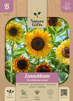 Zonnebloem reuzenbloemig mengsel 30st