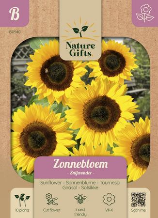 Zonnebloem snijwonder 10st
