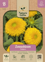 Zonnebloem teddybear 20st