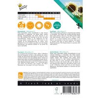 Zonnebloem white moon of night 6zdn - afbeelding 2