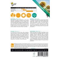 Zonnebloem white sun of day 6zdn - afbeelding 2