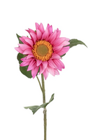Zonnebloemsteel l78cm roze