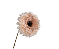 Zonnebloemtak l71cm creme
